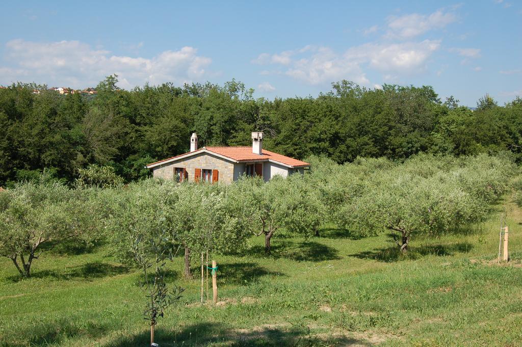 Olivahouse Villa Marezige Kültér fotó